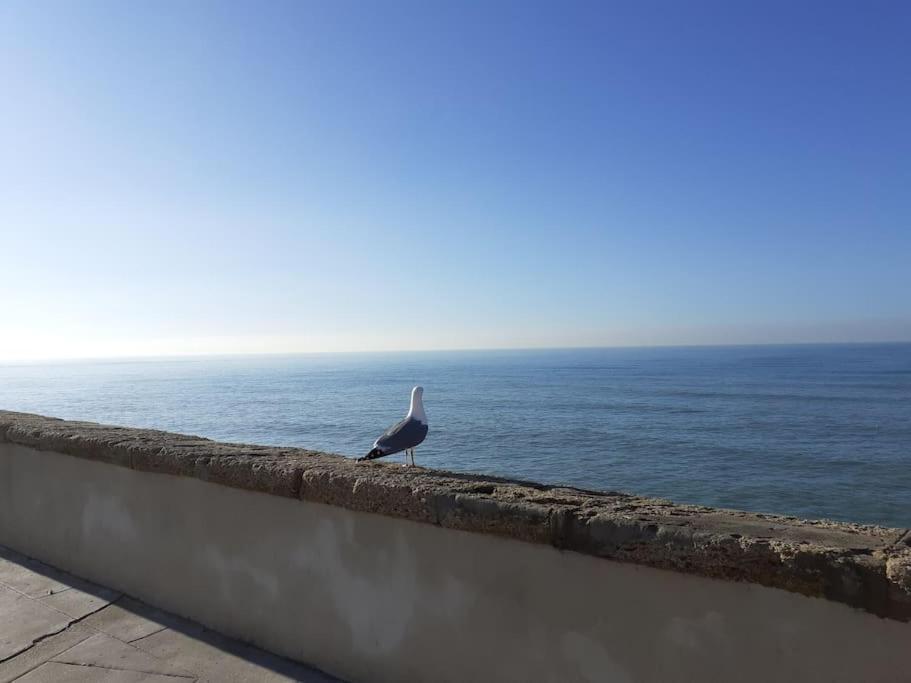 Mar Y Sol Apartment Cadiz Luaran gambar